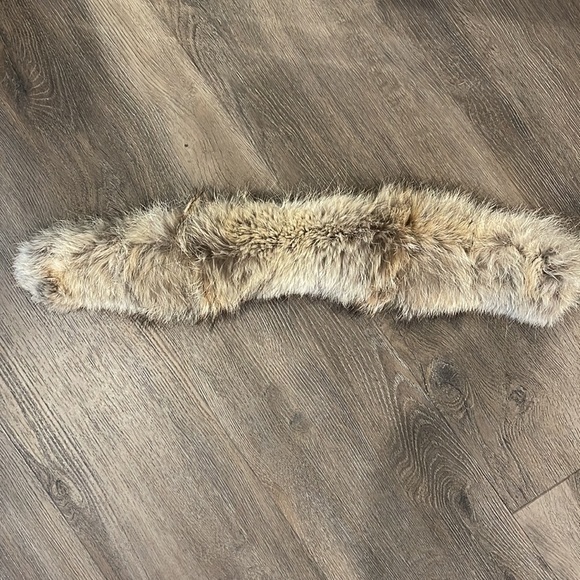 Canada goose size small. - Picture 8 of 9